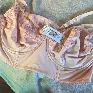 Pink Embroidery Bralette